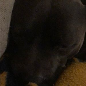 Meet your Posher, Brad